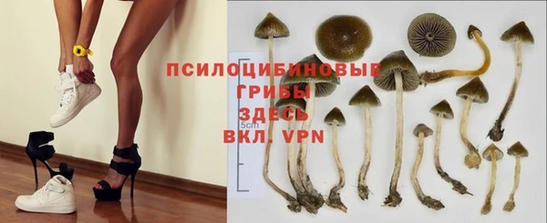 индика Навашино