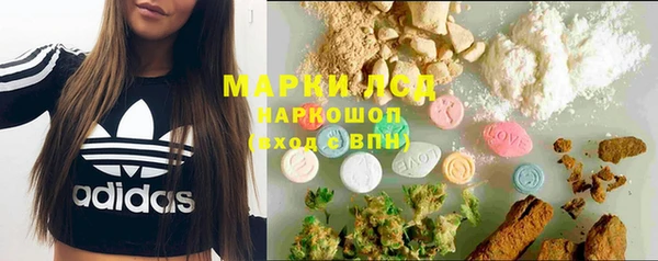 индика Навашино