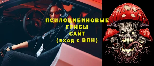 apvp Надым