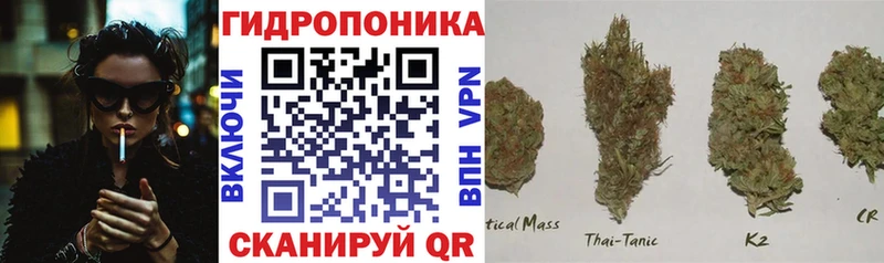 Каннабис OG Kush  Соликамск 